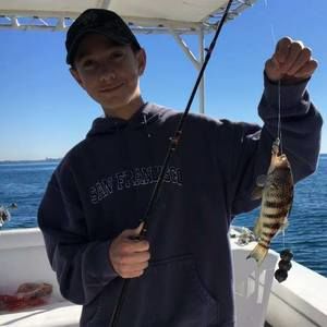 Meet your Posher, Anna